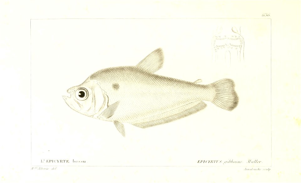 n278_w1150