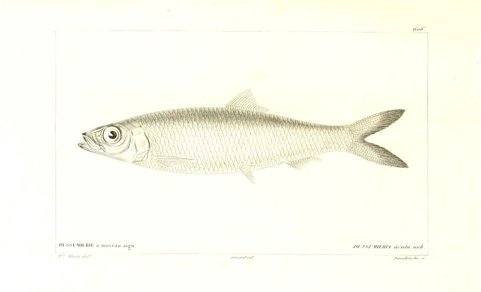 n218_w1150