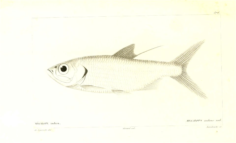 n158_w1150