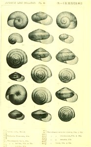 n563_w1150