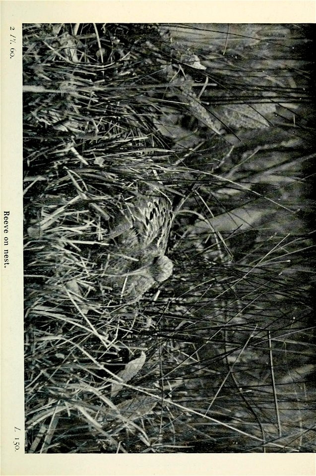 n222_w1150