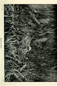 n222_w1150