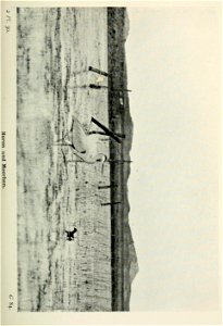 n126_w1150