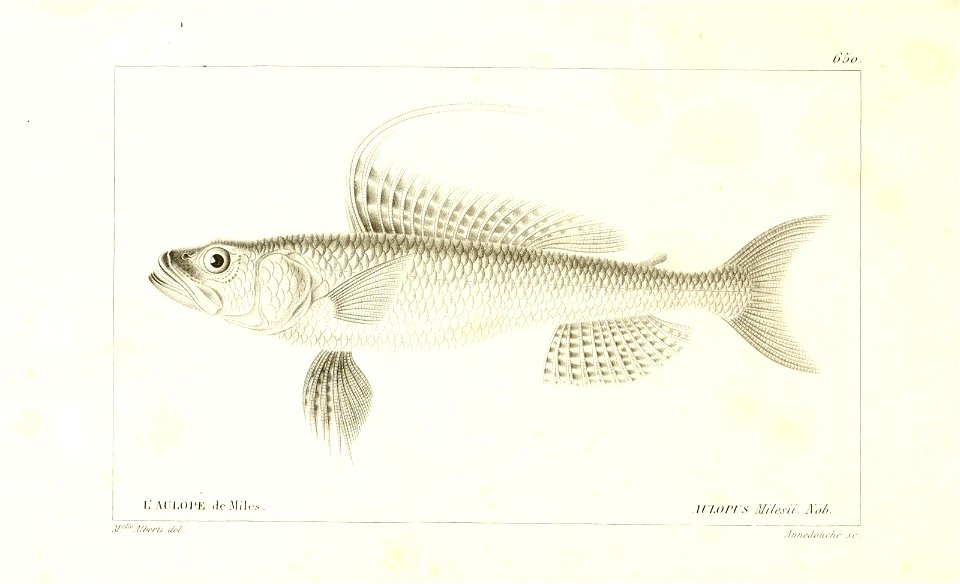 n304_w1150