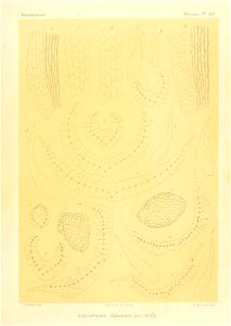 n920_w1150