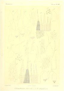 n860_w1150