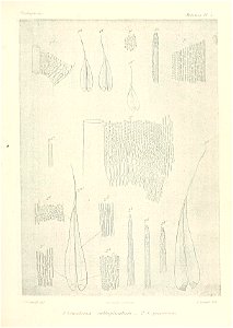 n590_w1150