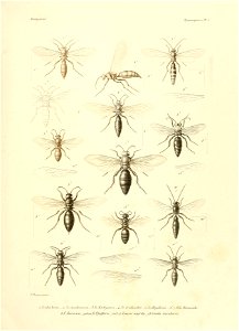 n632_w1150