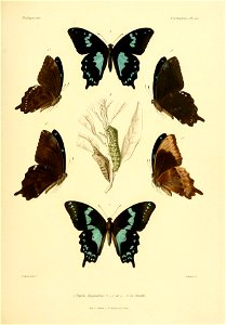 n114_w1150