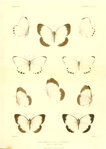 n458_w1150