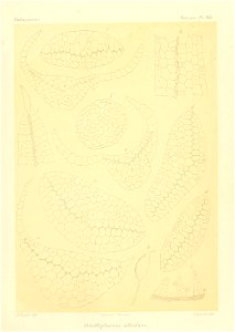 n948_w1150