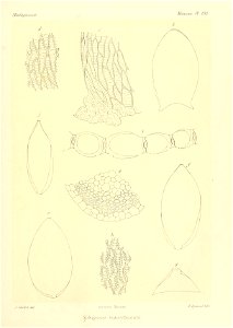 n888_w1150