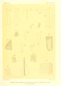 n678_w1150