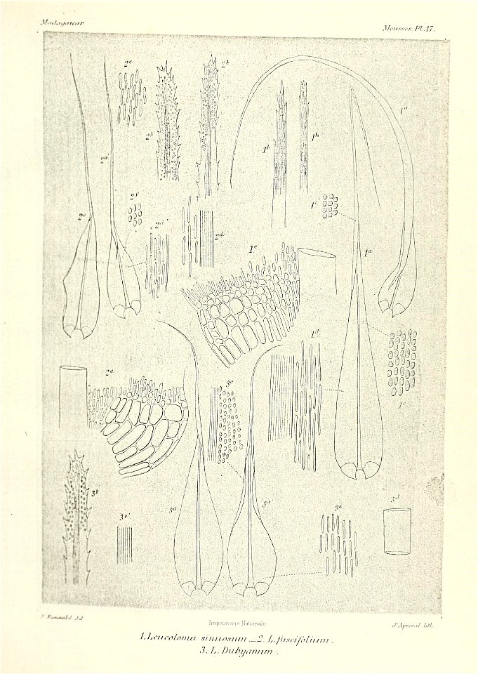 n618_w1150