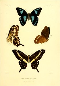 n112_w1150