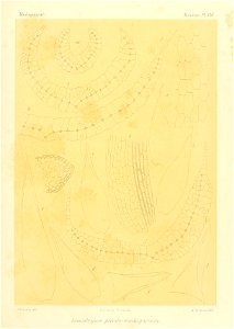n916_w1150