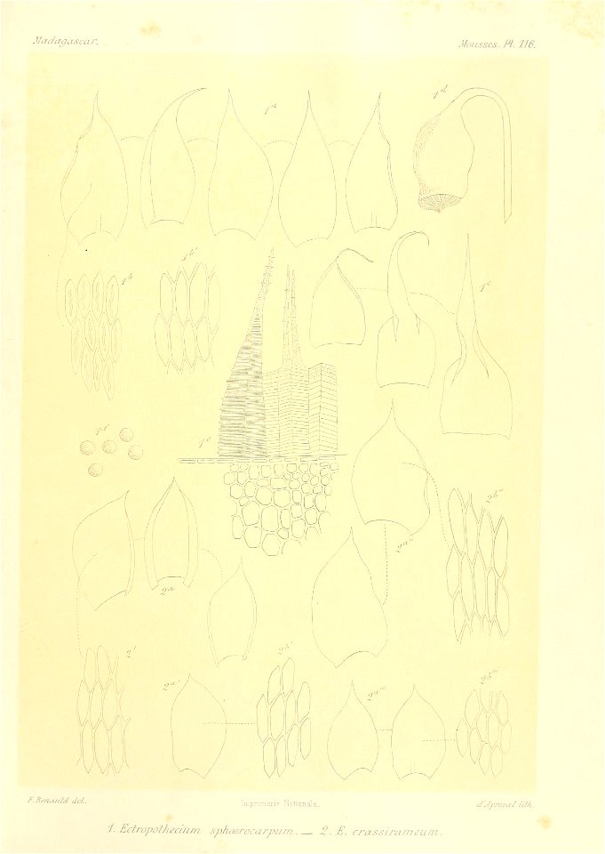 n856_w1150