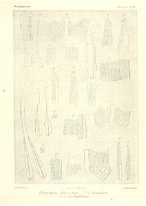 n616_w1150