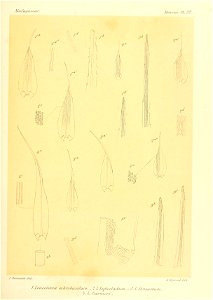 n586_w1150