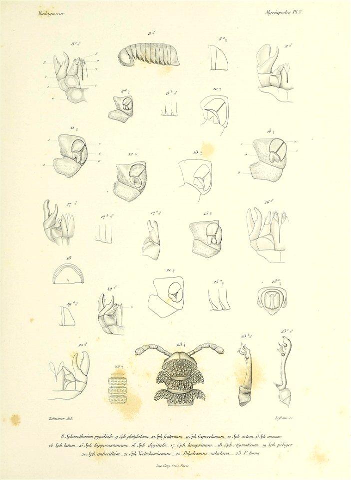 n378_w1150