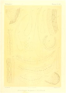 n914_w1150