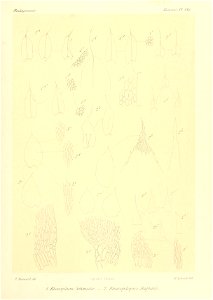 n884_w1150