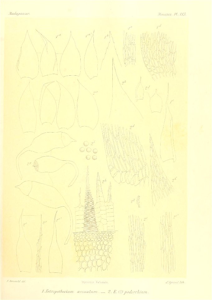 n854_w1150
