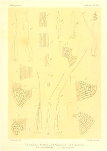 n614_w1150