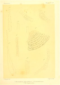 n584_w1150