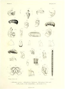 n376_w1150