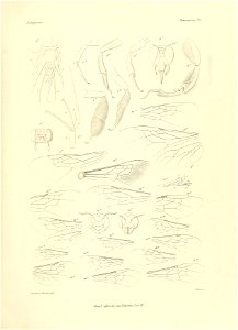 n626_w1150