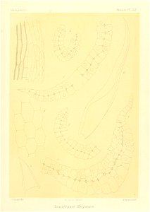 n912_w1150