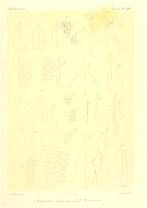 n882_w1150