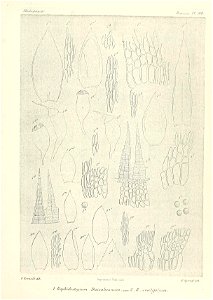 n822_w1150