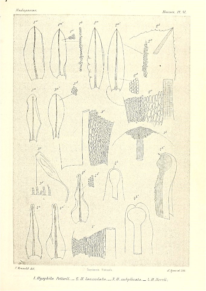 n672_w1150