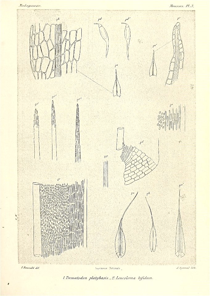n582_w1150