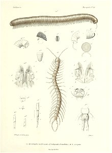 n374_w1150