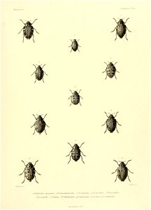 n612_w1150