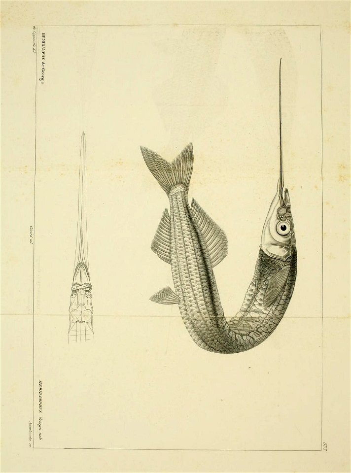 n116_w1150