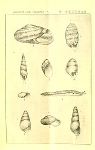 n61_w1150