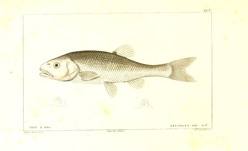 n4_w1150