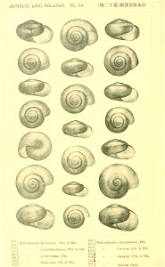 n631_w1150