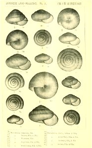 n513_w1150