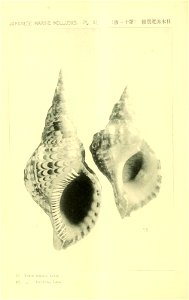 n369_w1150