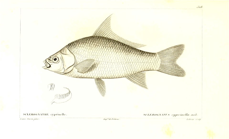 n48_w1150