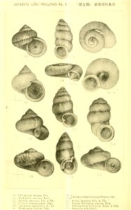 n259_w1150
