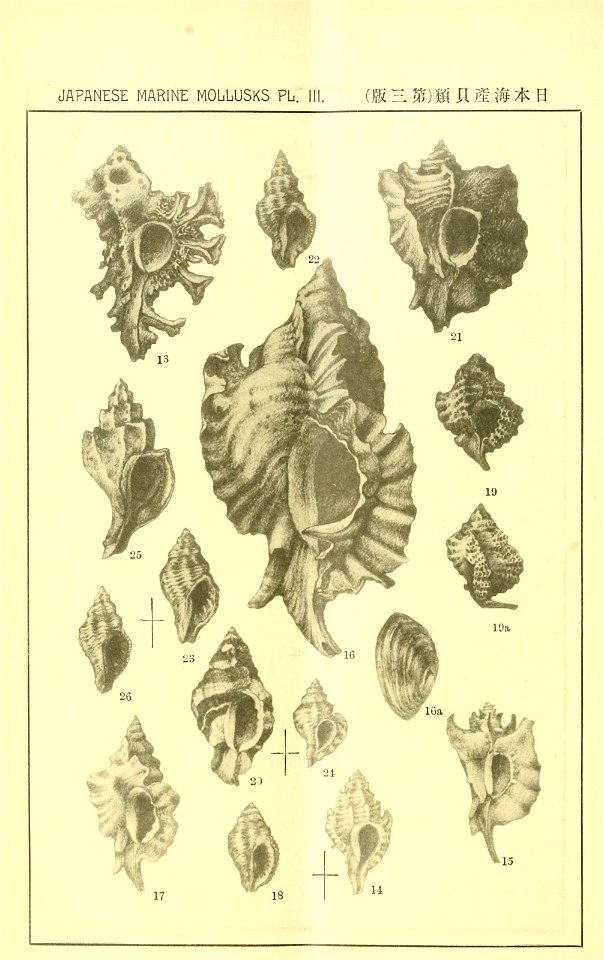 n119_w1150