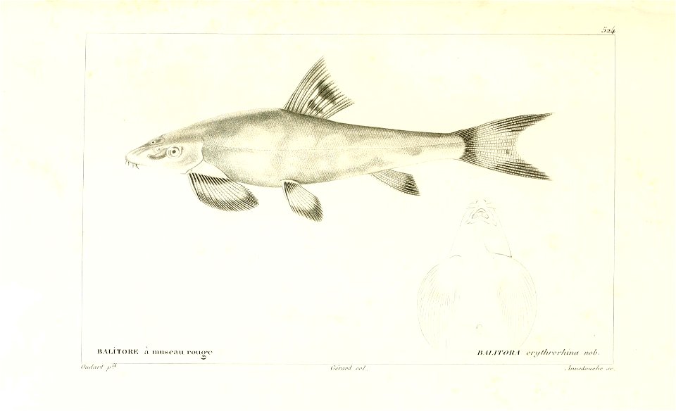 n60_w1150
