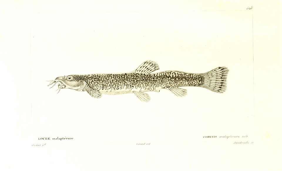n58_w1150