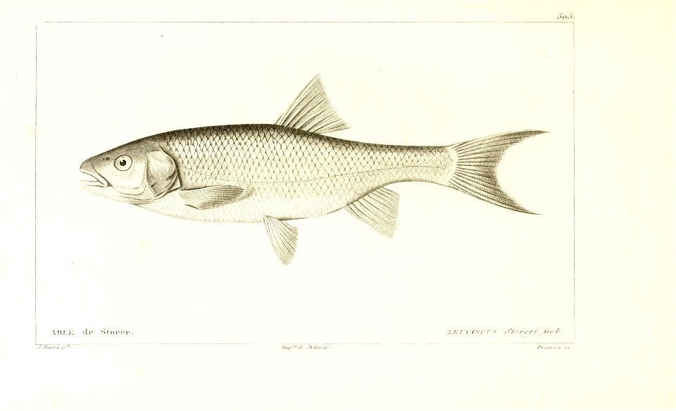 n22_w1150